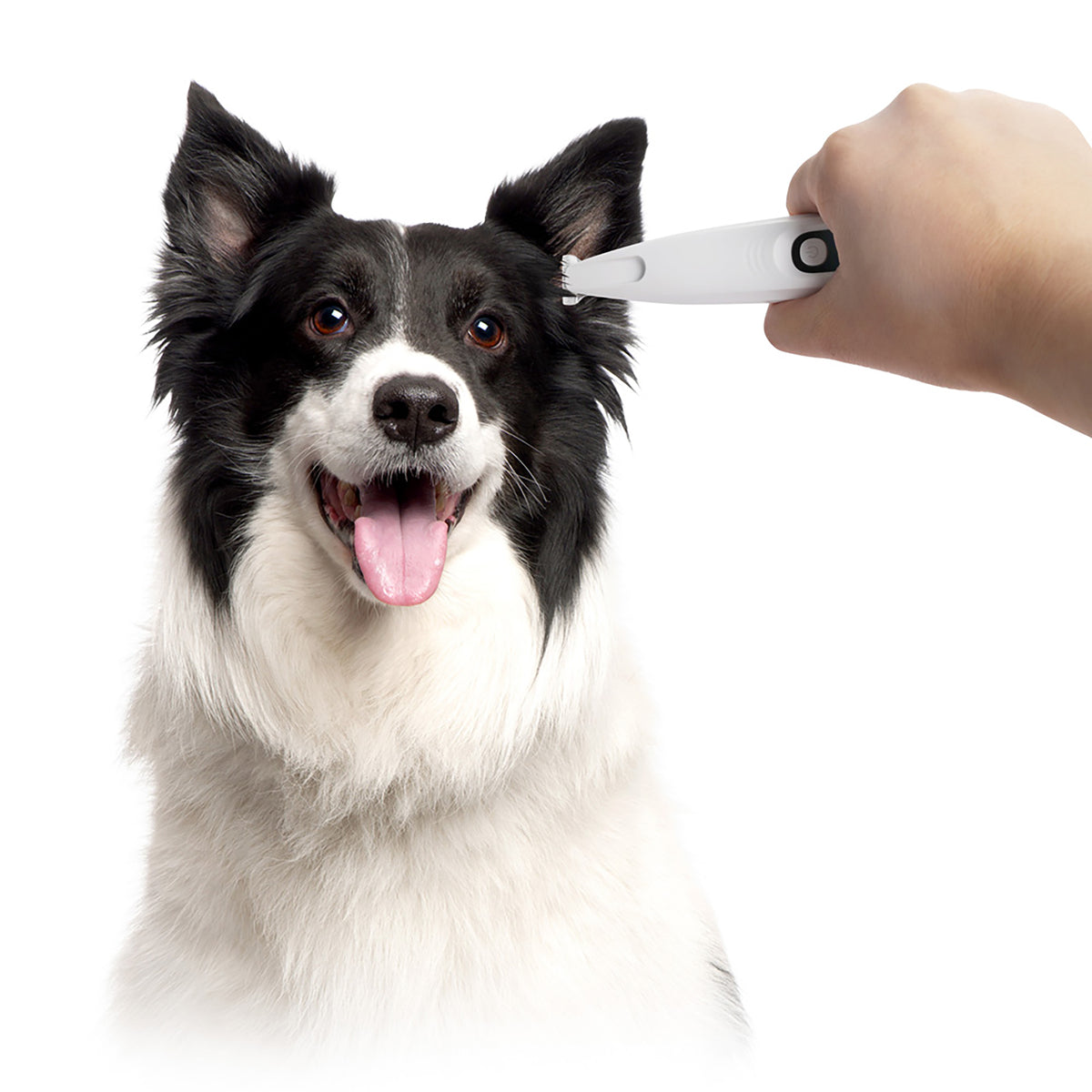 Pet Salon-Pet Hair Trimmer