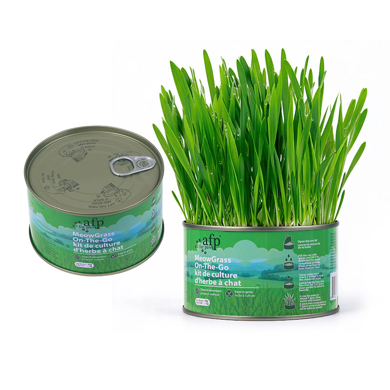Green Rush Meow Grass On-The-Go Cat Grass Kit, 50g/Can