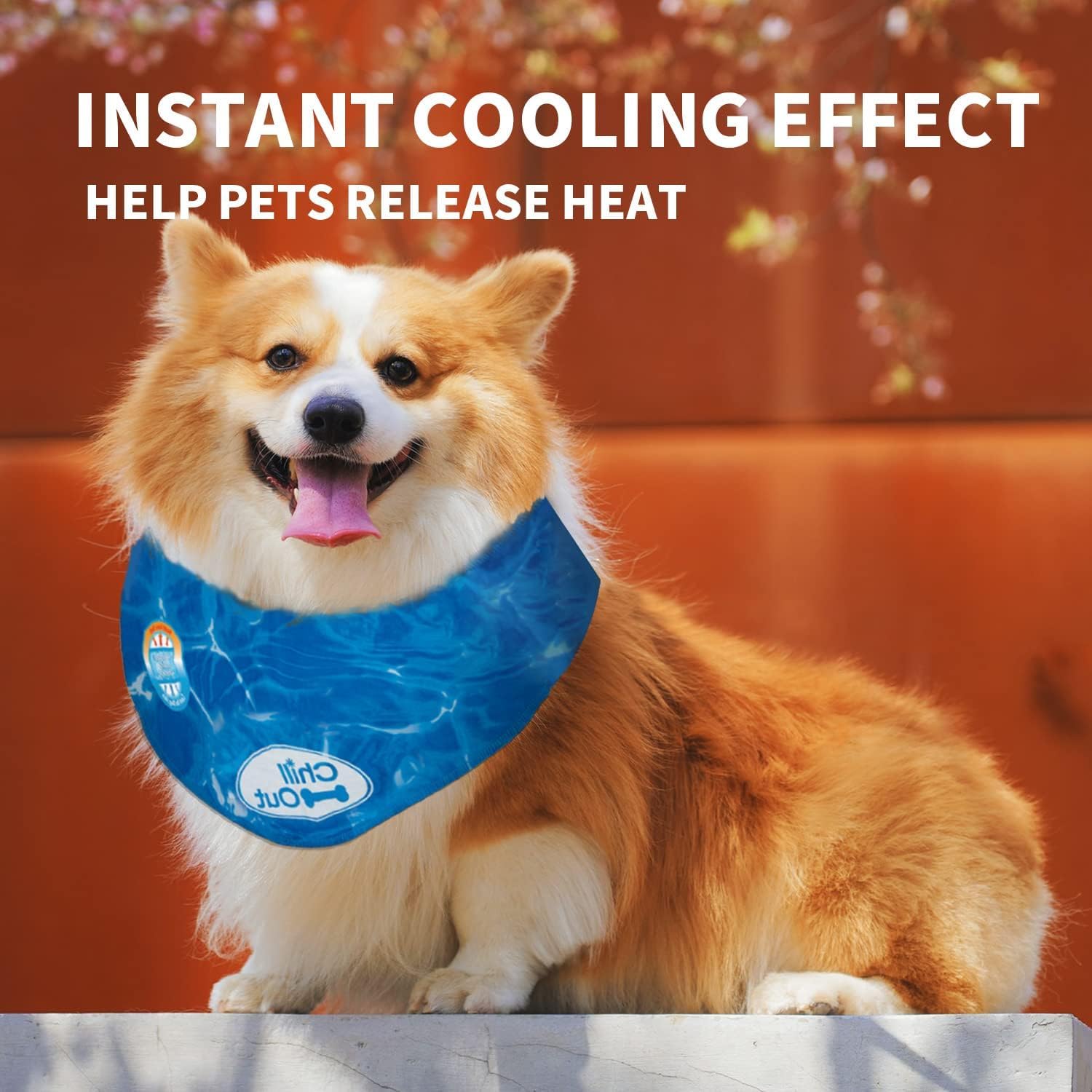 AFP(All For Paws) Pet Products