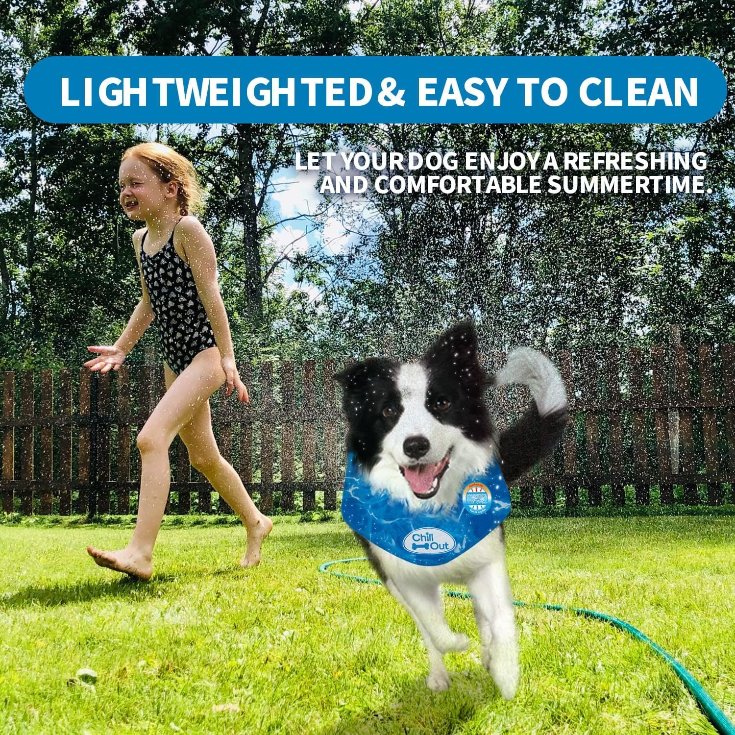 AFP(All For Paws) Pet Products