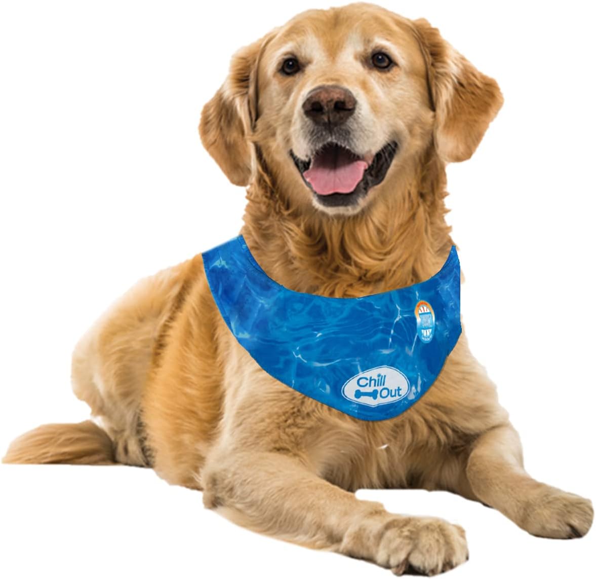 AFP(All For Paws) Pet Products