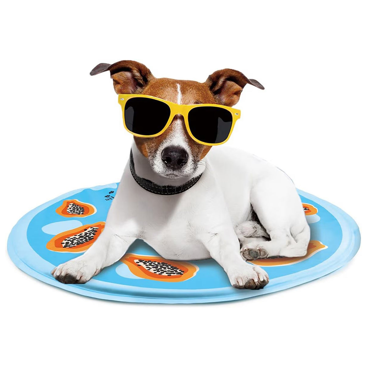 Chill Out - Dog Cooling Mat - Cooling Mat for Summer