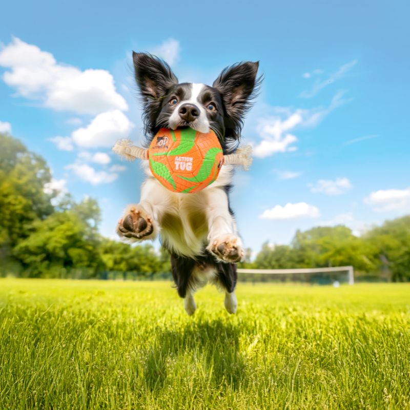 Allforpaws Outdoor Titan Paw Ball Dog Toy, Orange/Green