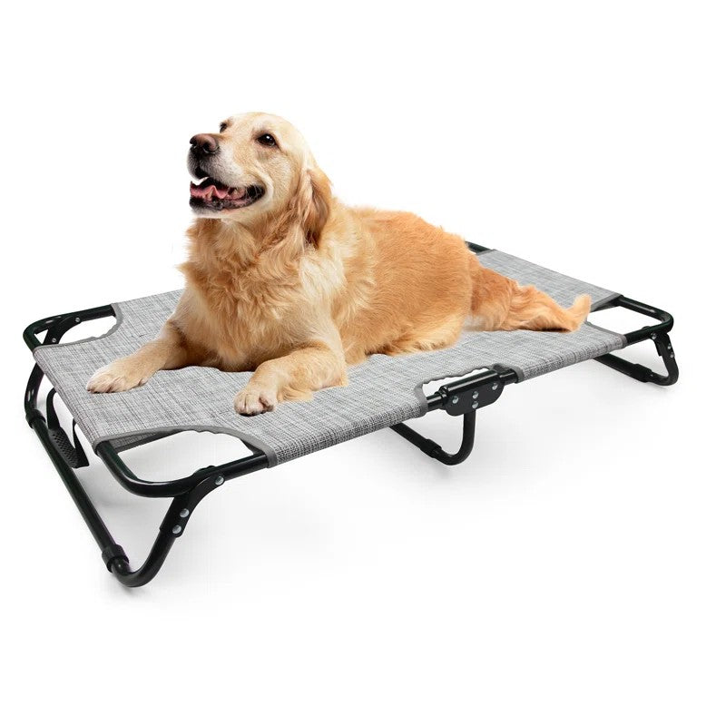AFP(All For Paws) Pet Products