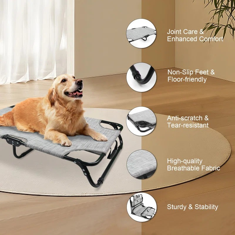AFP(All For Paws) Pet Products