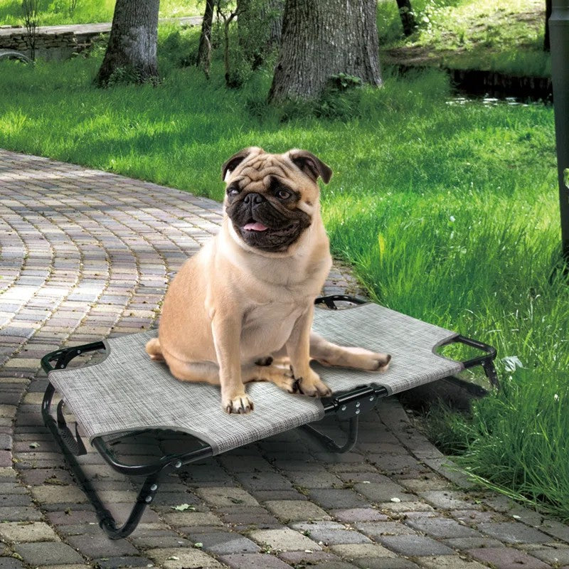 Elevated Dog Bed - Foldable Pet Beds with No Assembly for Indoor & Outdoor Use