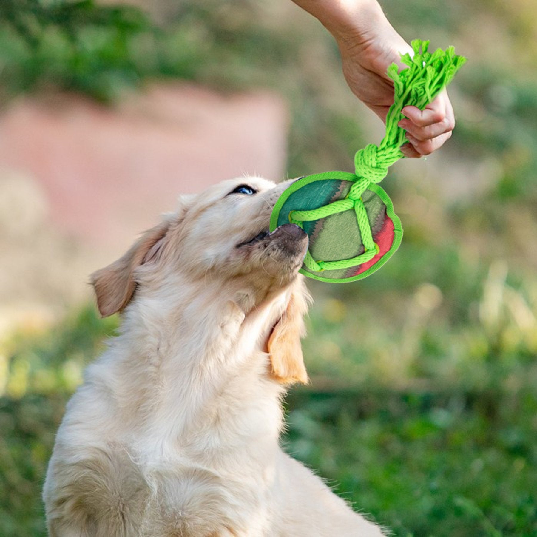 AFP(All For Paws) Pet Products