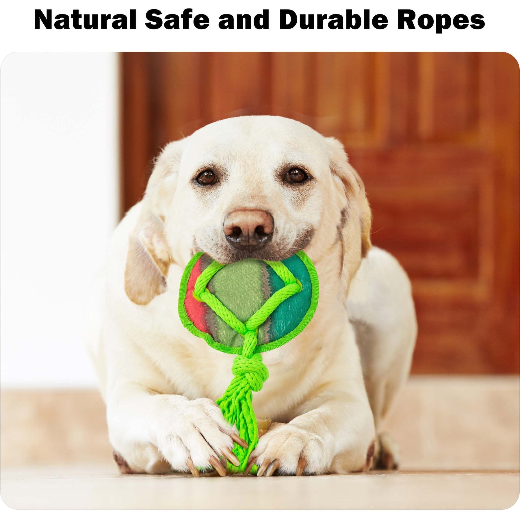 AFP(All For Paws) Pet Products