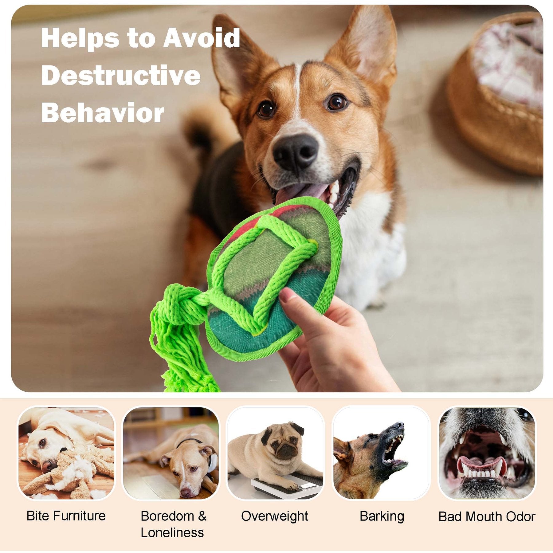AFP(All For Paws) Pet Products