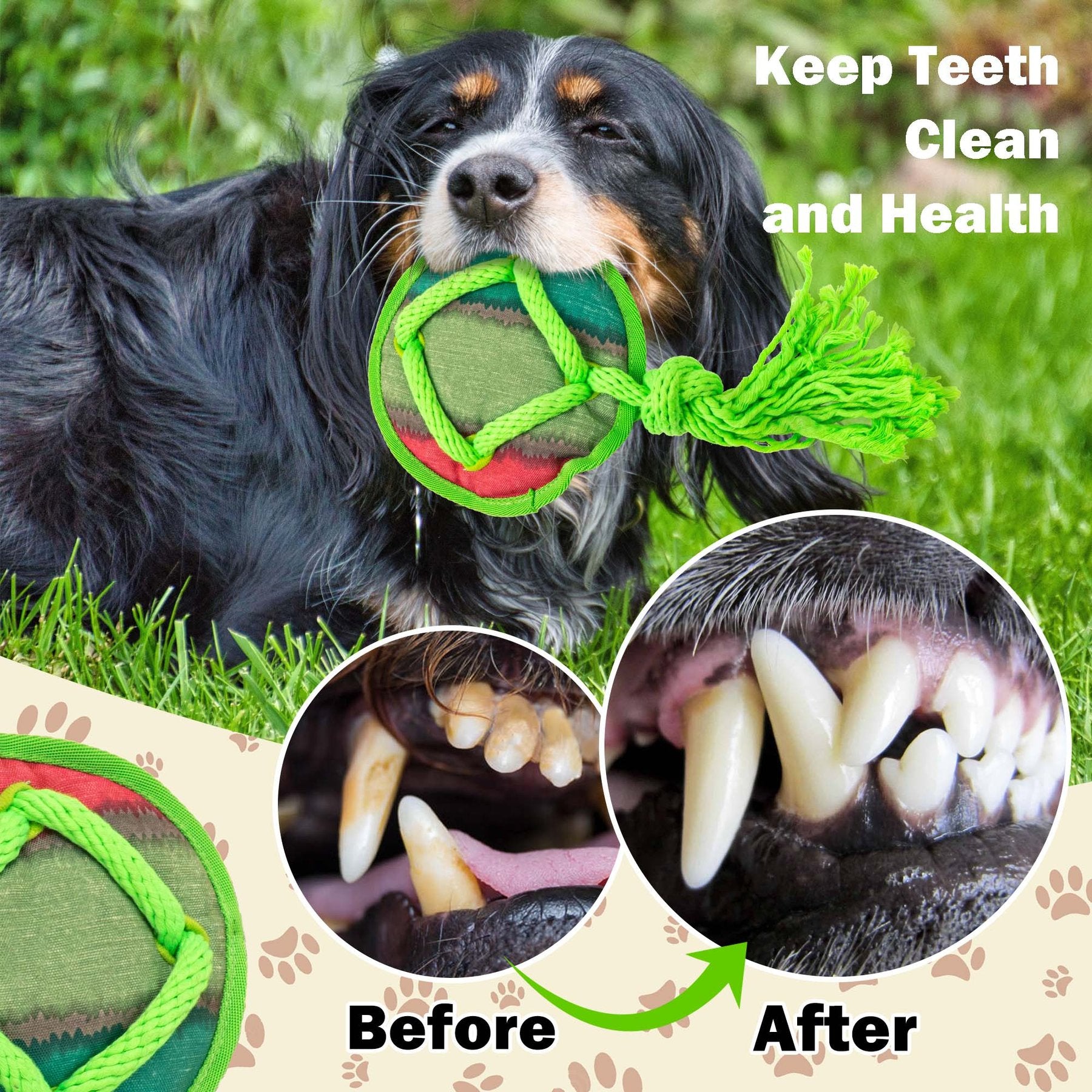 AFP(All For Paws) Pet Products