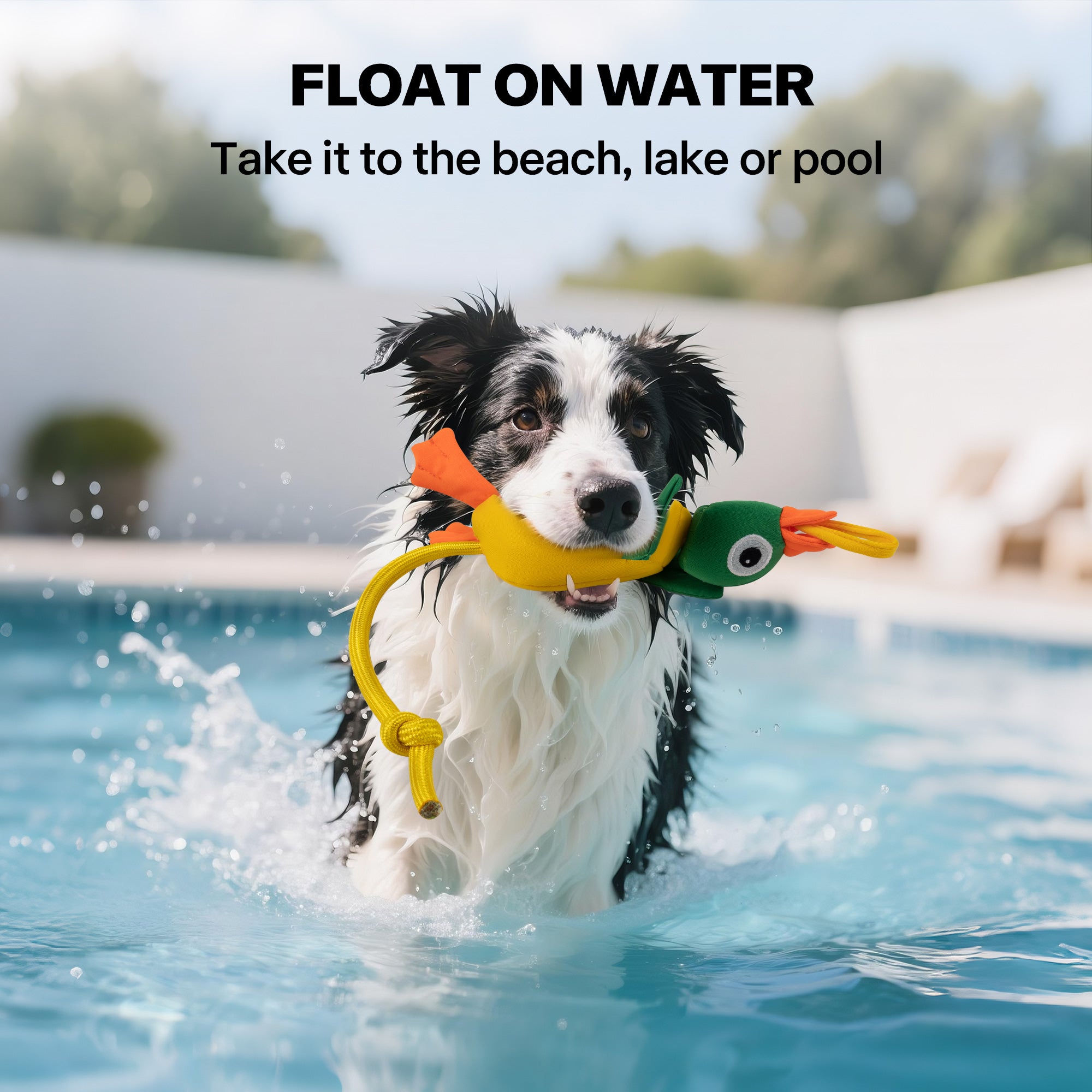 Chill Out - Dog fetch toy - Flying Mallard