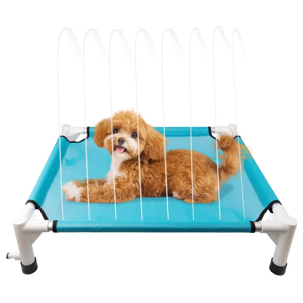 Chill Out - Sprinkling Pet Cot for Summer