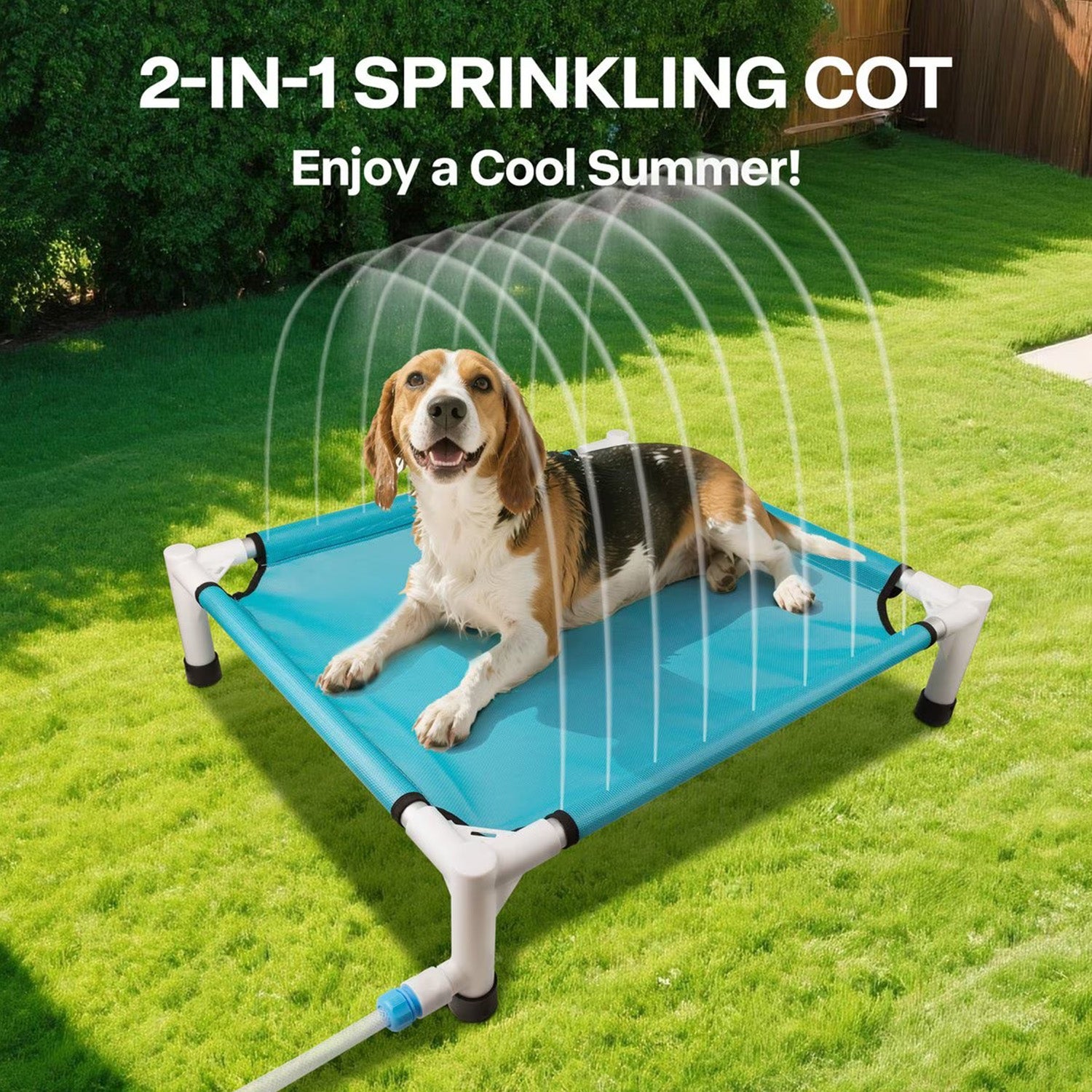 AFP(All For Paws) Pet Products