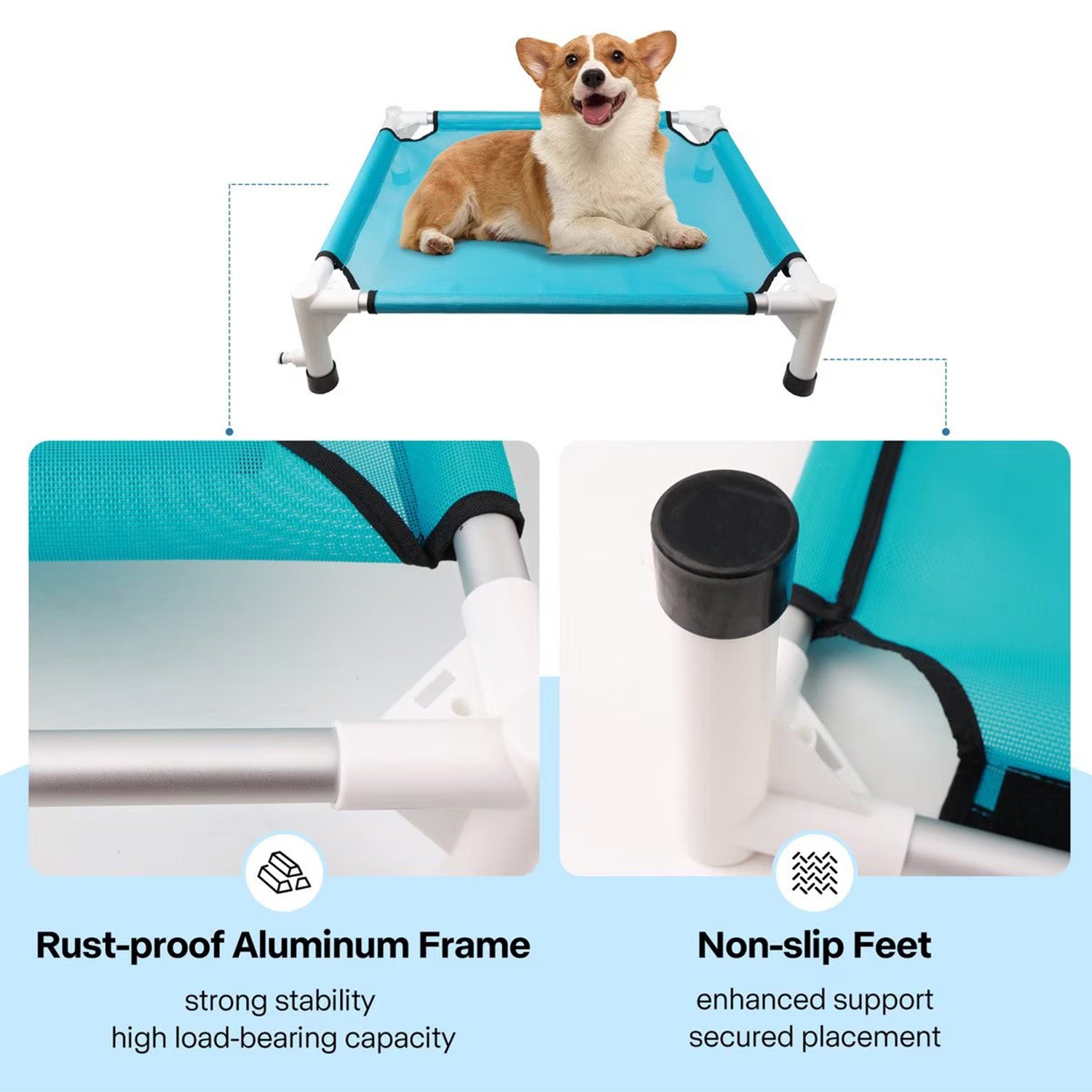 AFP(All For Paws) Pet Products
