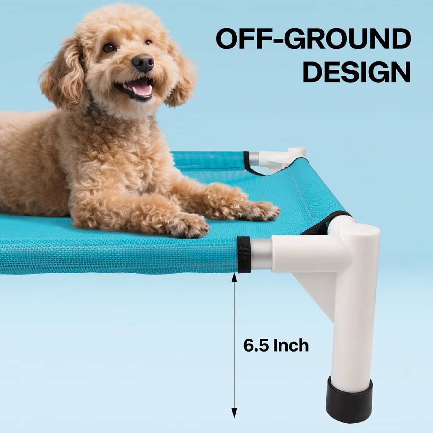 AFP(All For Paws) Pet Products