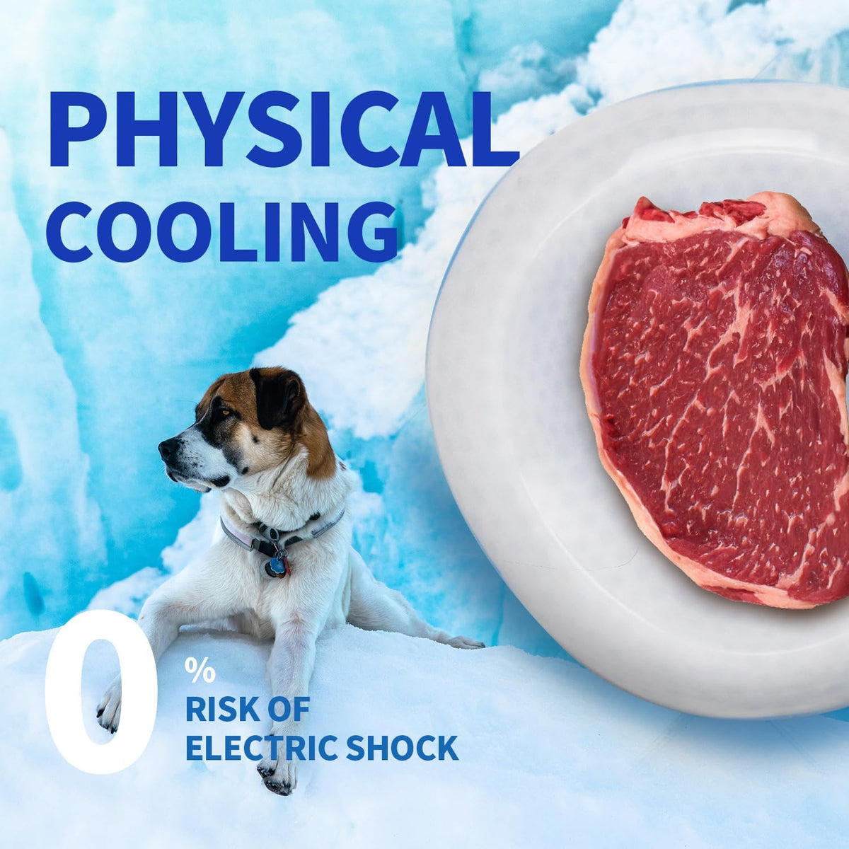 Chill Out - Dog Cooler Bowl - Pet Cooler Bowl Keeps Water Cool and Fresh for Hours
