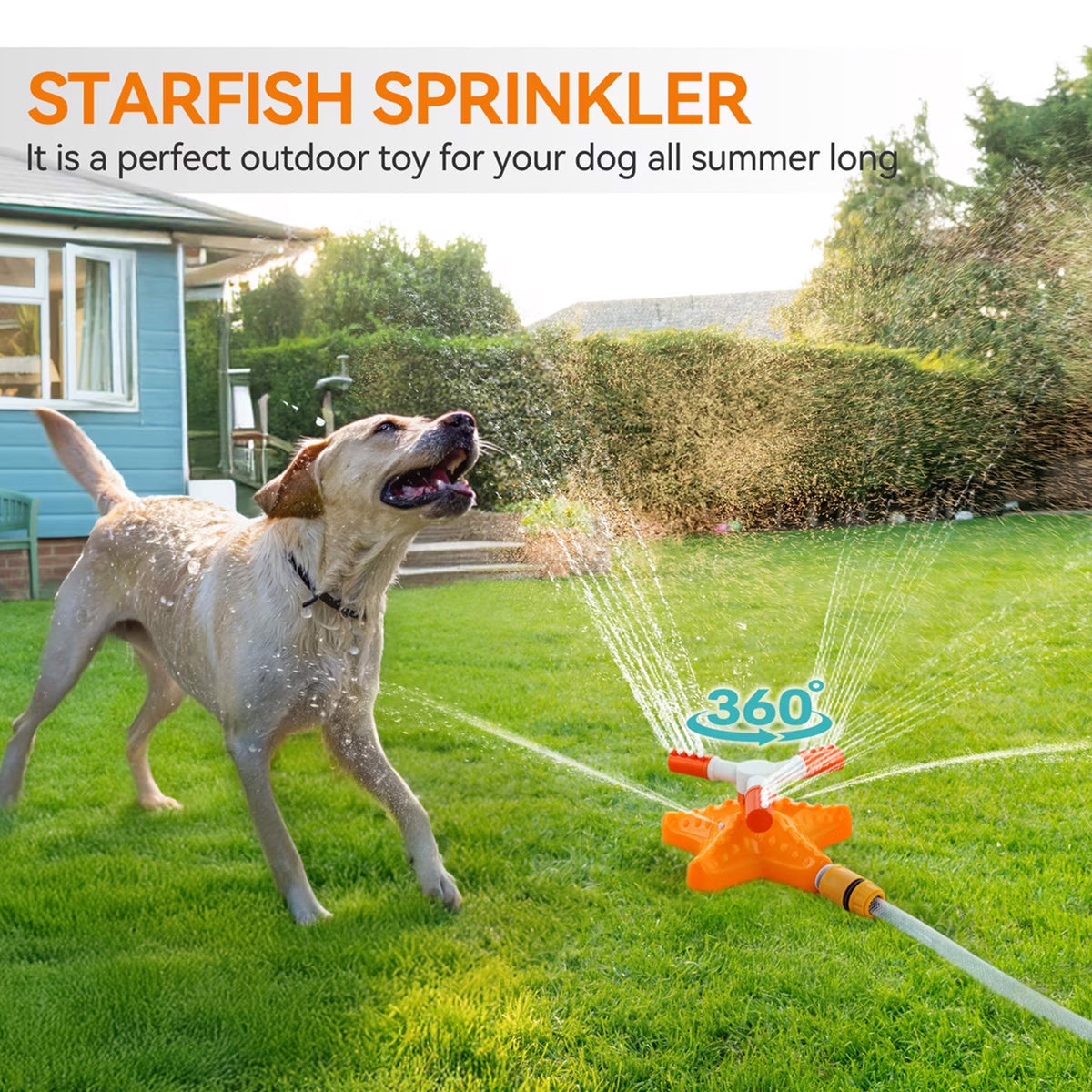 Chill Out – Starfish Sprinkler