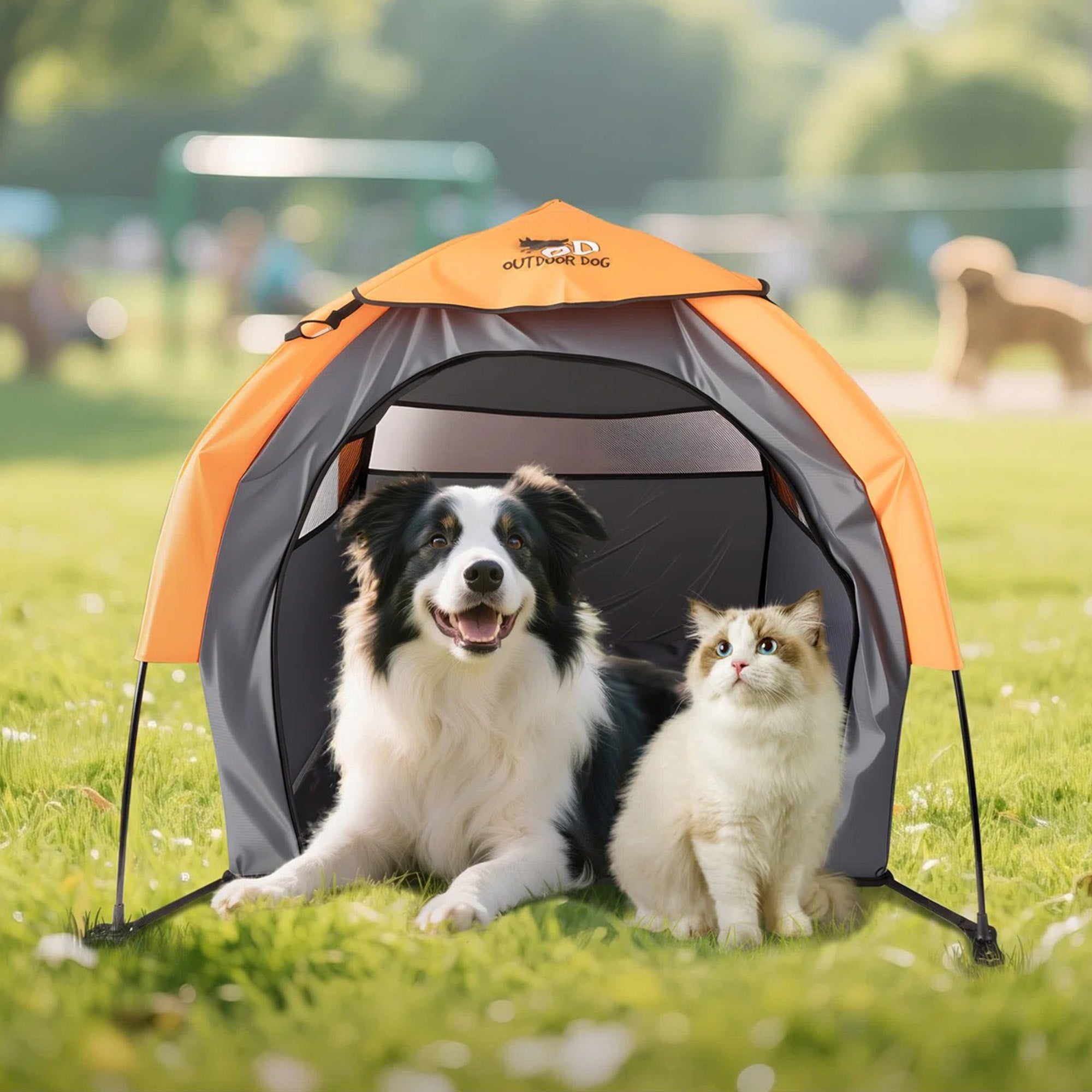 AFP(All For Paws) Pet Products