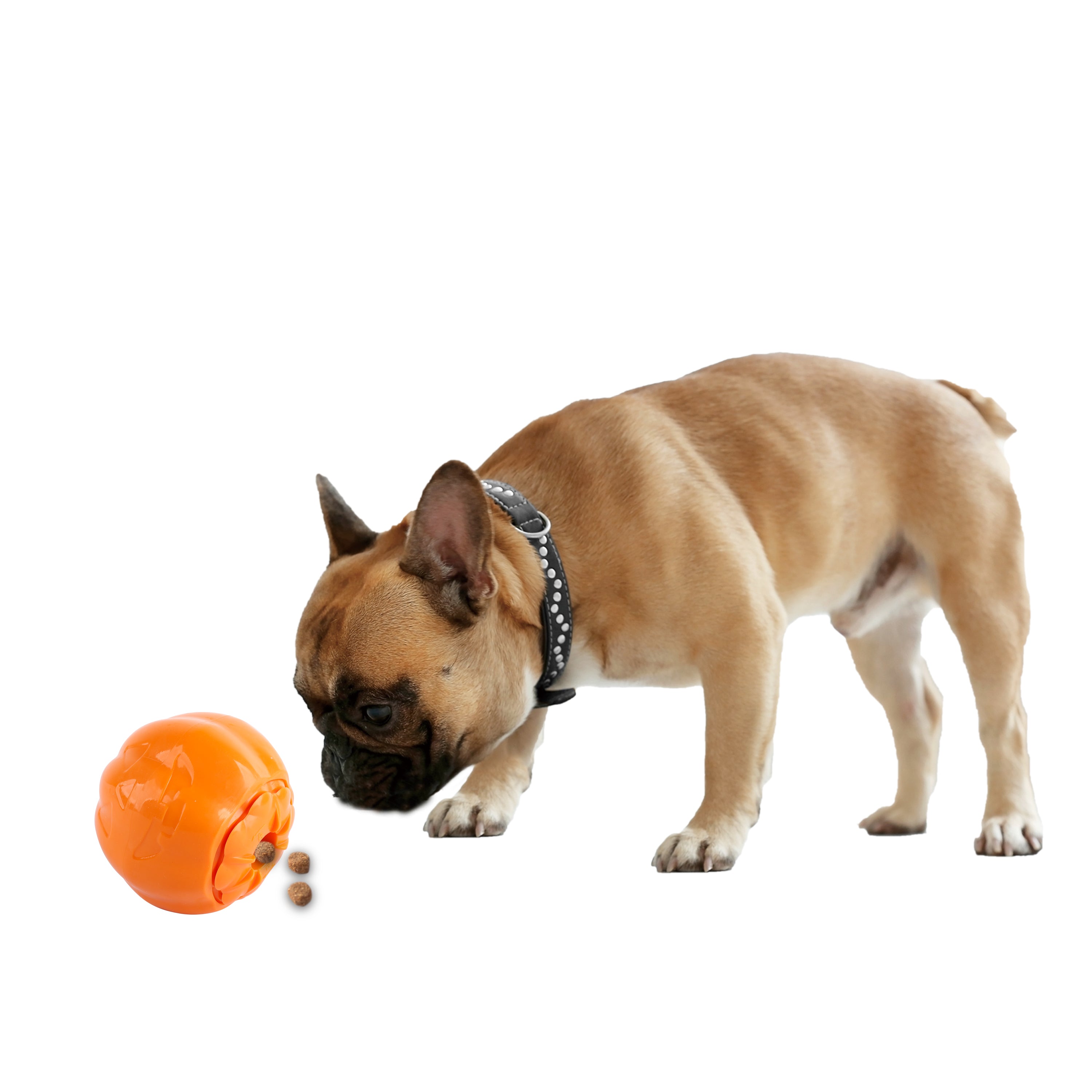 Happy Halloween - Dog Toy - Treat Or Trick Dog Dispenser