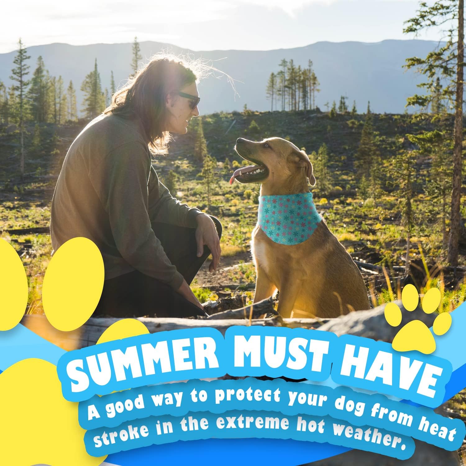 AFP(All For Paws) Pet Products