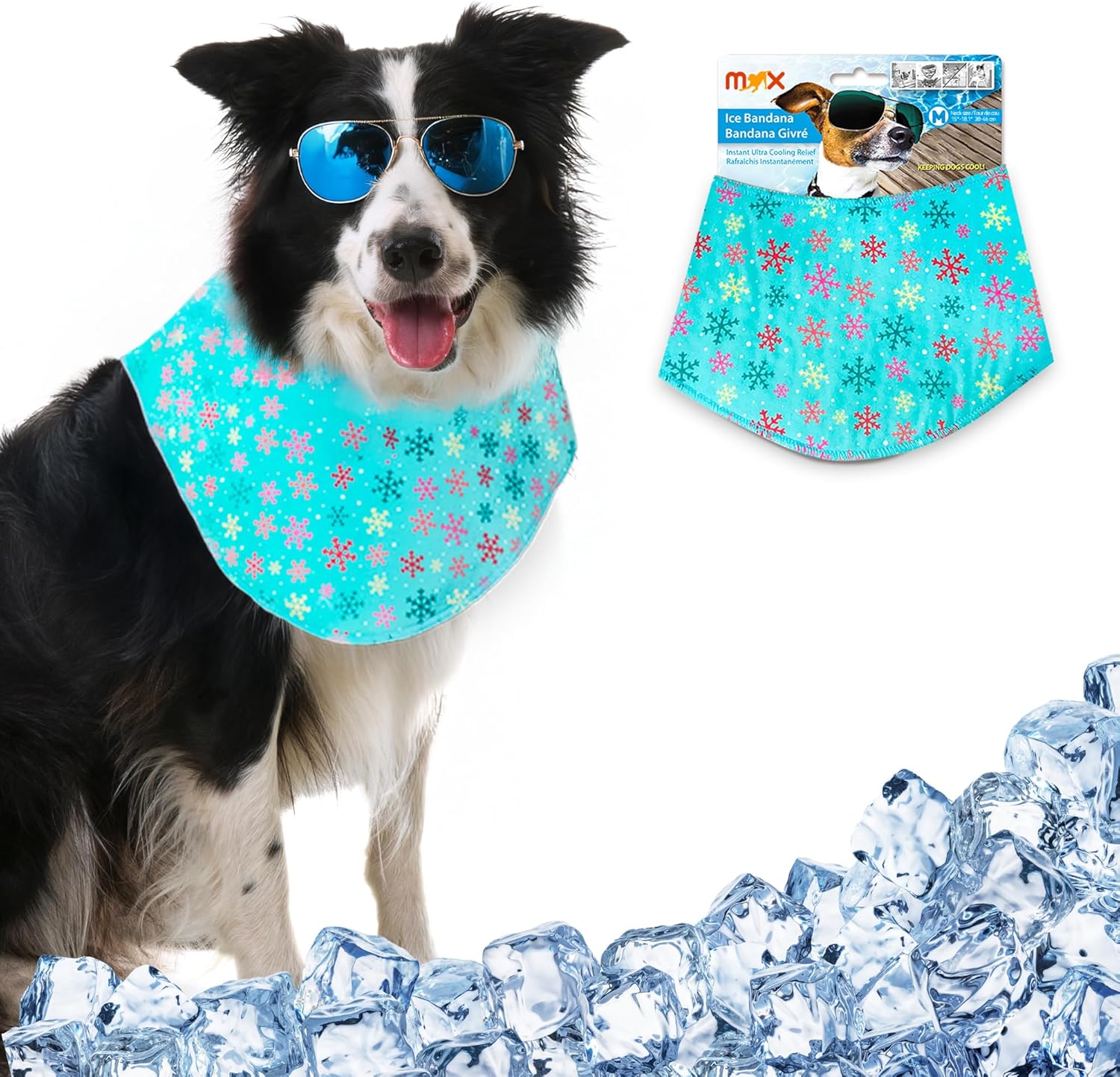 AFP(All For Paws) Pet Products