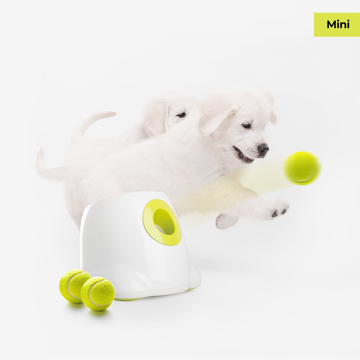 AFP-Allforpaws Mini Hyper Fetch Automatic Ball Launcher for Small Dogs 