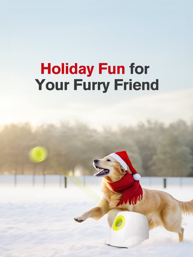 Auto Ball Launcher For Dogs Holiday Gift For Dogs Mobile