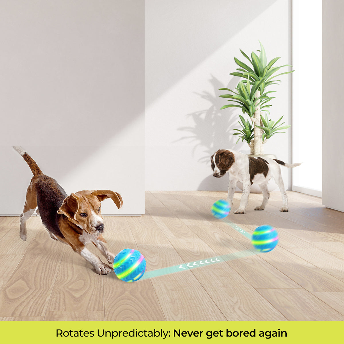 Motion-Activated LED Dog Ball