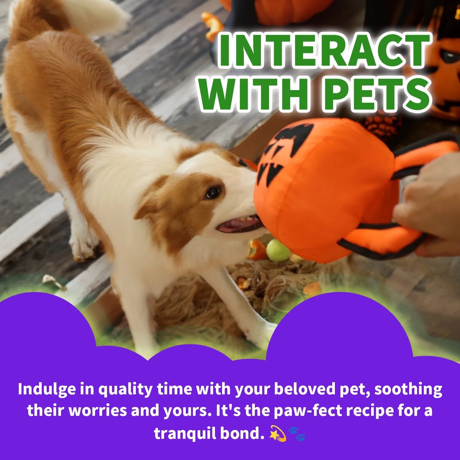 AFP-Allforpaws Halloween Handle Ballistic Pumpkin Ball 