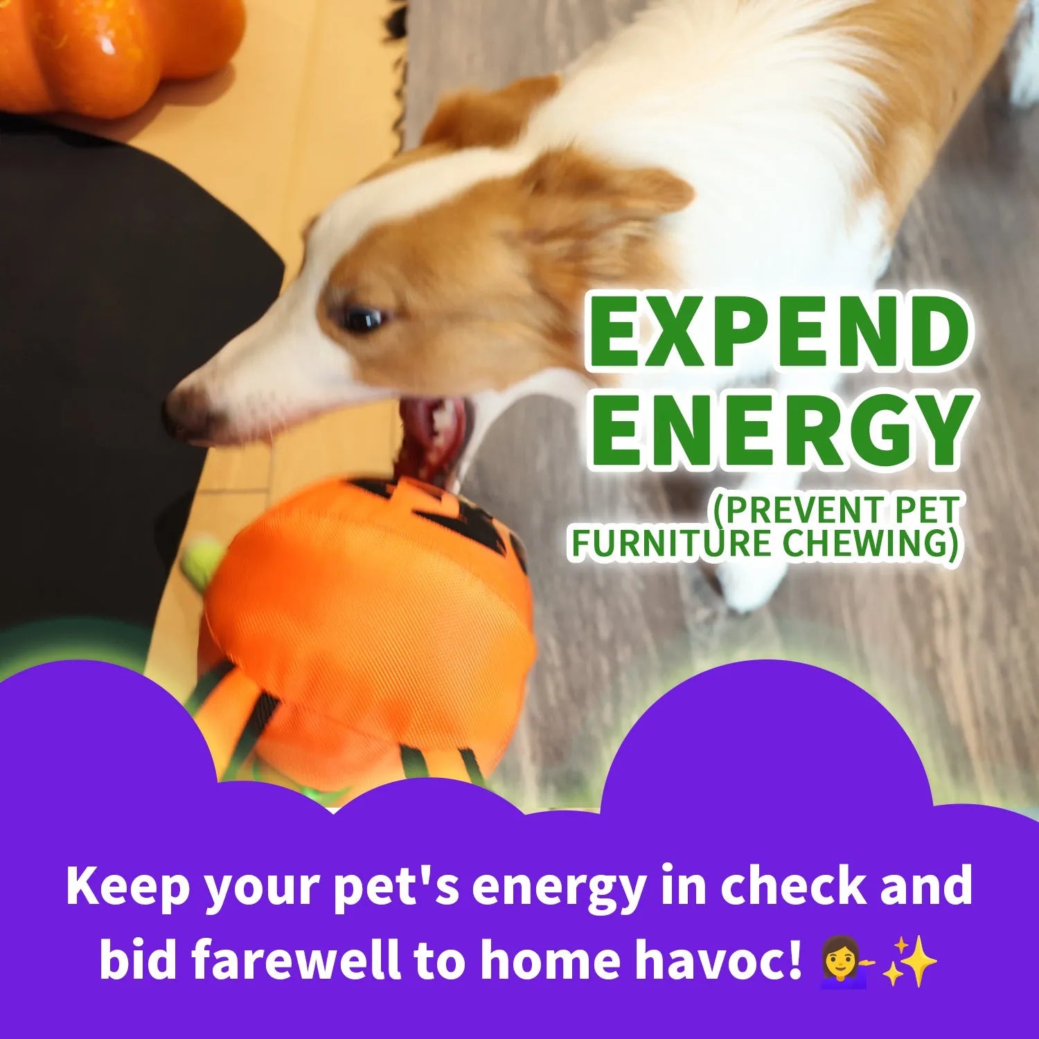 AFP-Allforpaws Halloween Handle Ballistic Pumpkin Ball 