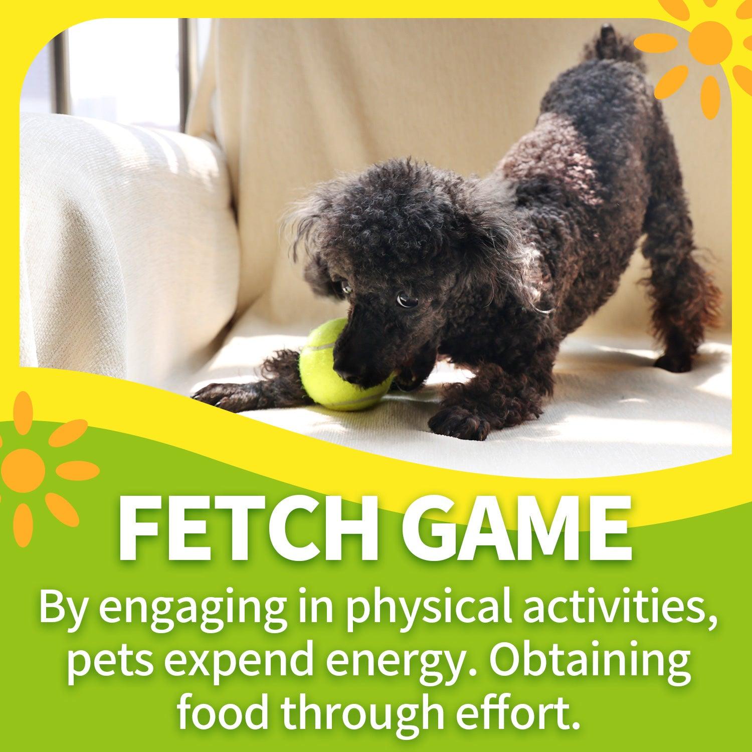 AFP-Allforpaws Interactive Fetch-N-Treat Dog Toy