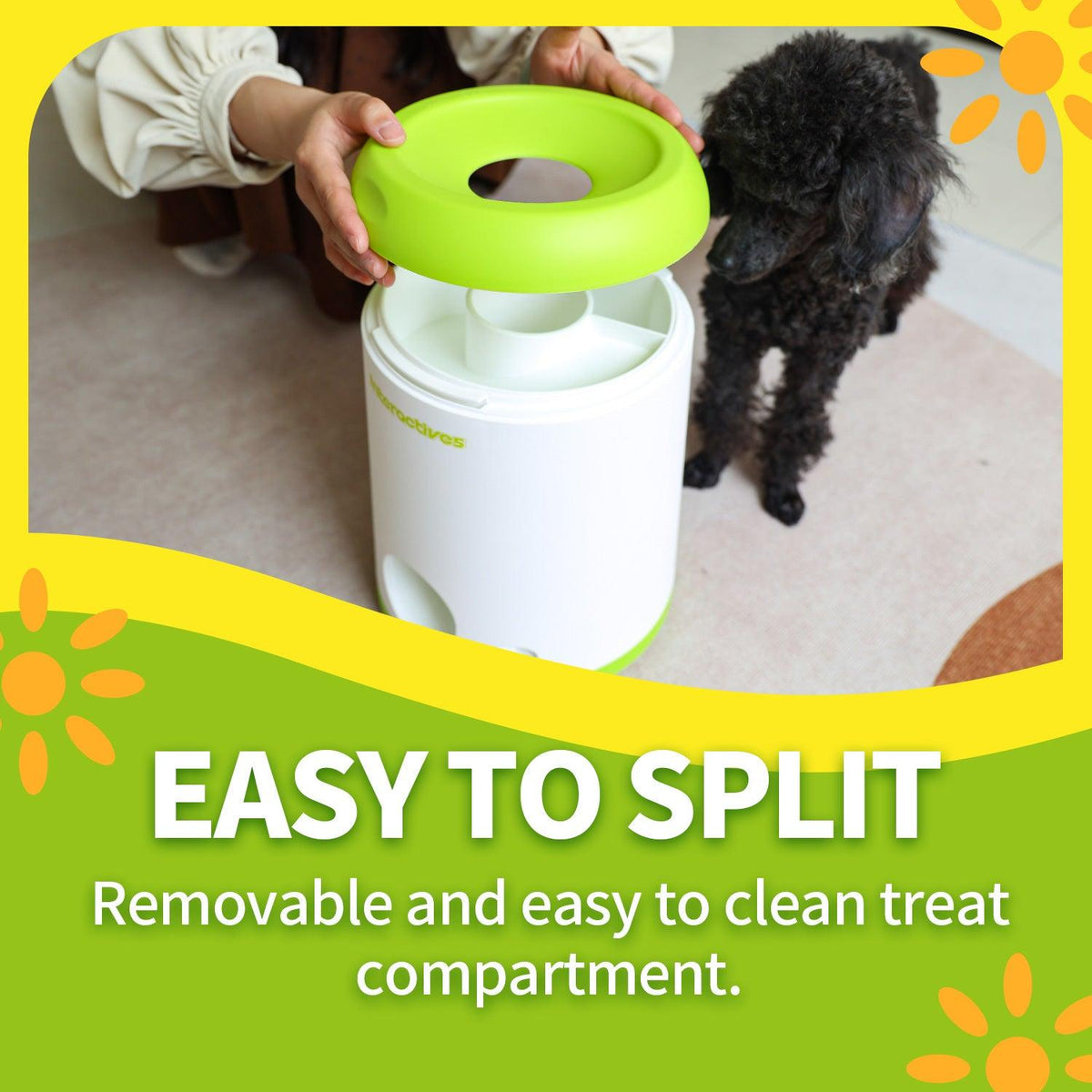 AFP-Allforpaws Interactive Fetch-N-Treat Dog Toy