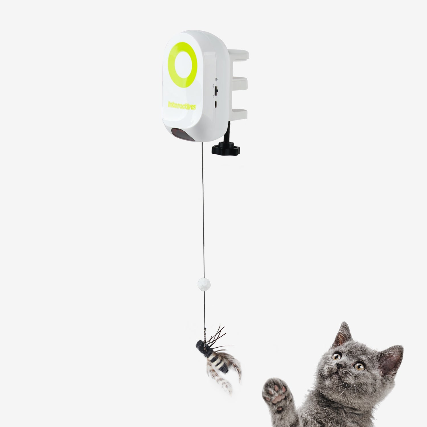 AFP-Allforpaws Interactives-YOYO Bug