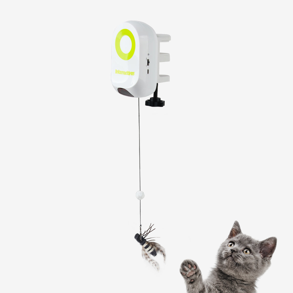 AFP-Allforpaws Interactives-YOYO Bug