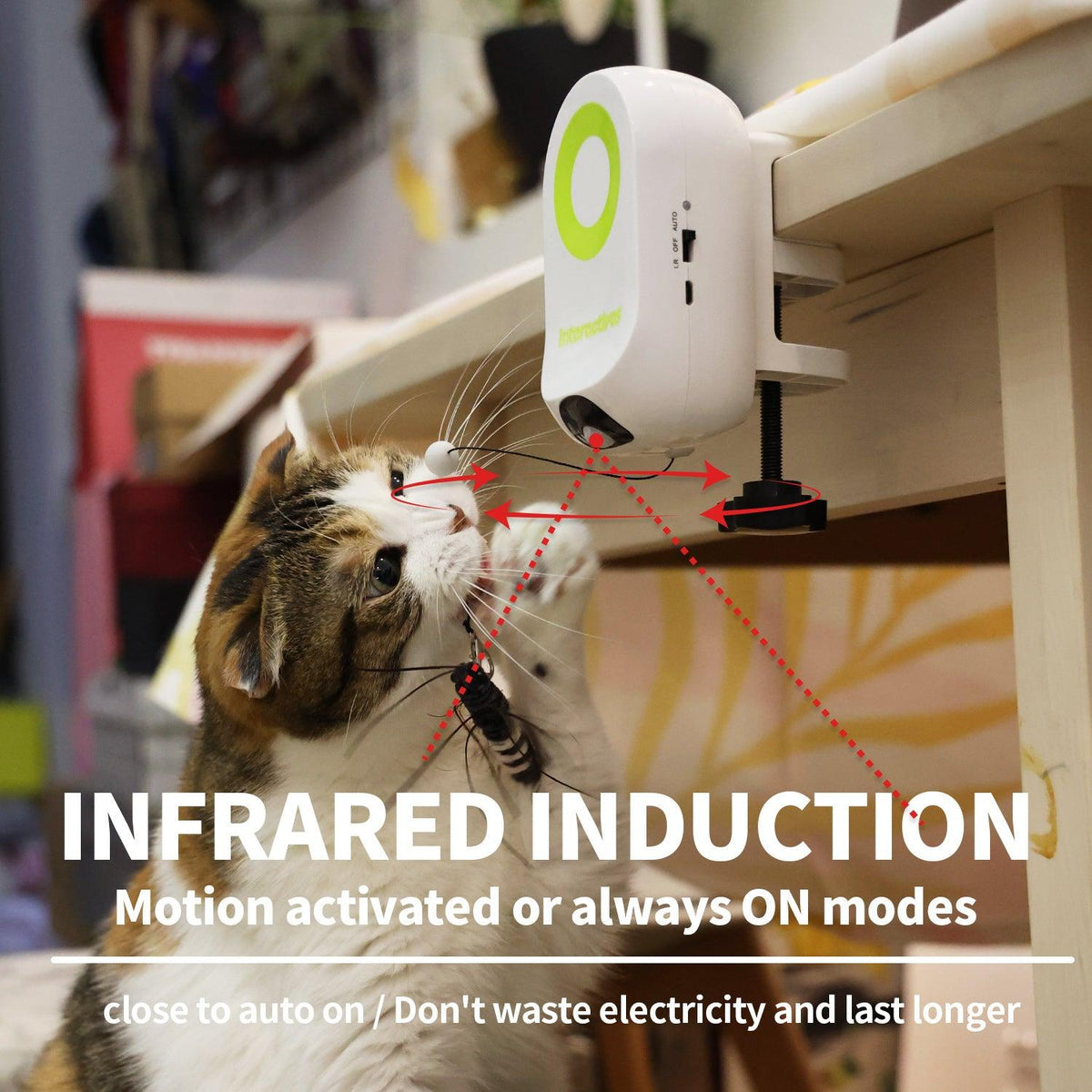 AFP-Allforpaws Interactives-YOYO Bug