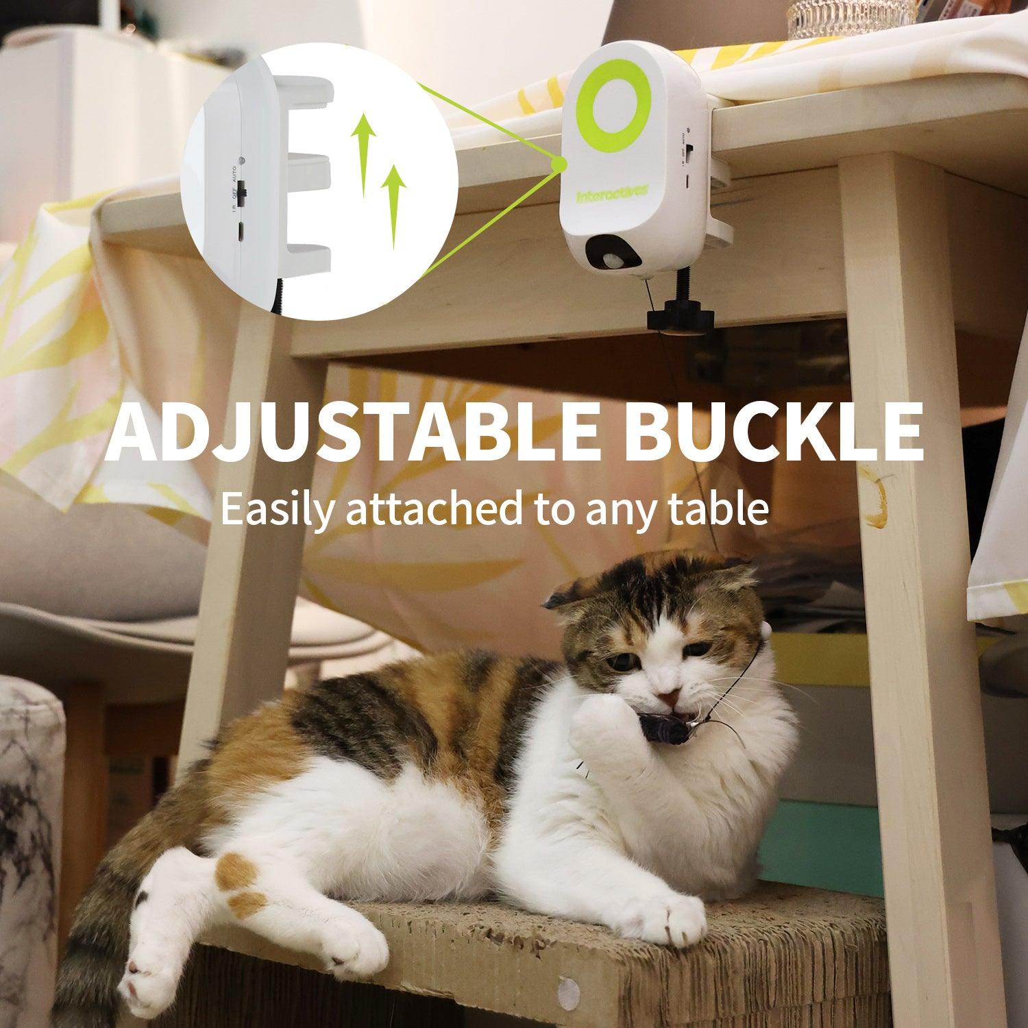 AFP-Allforpaws Interactives-YOYO Bug