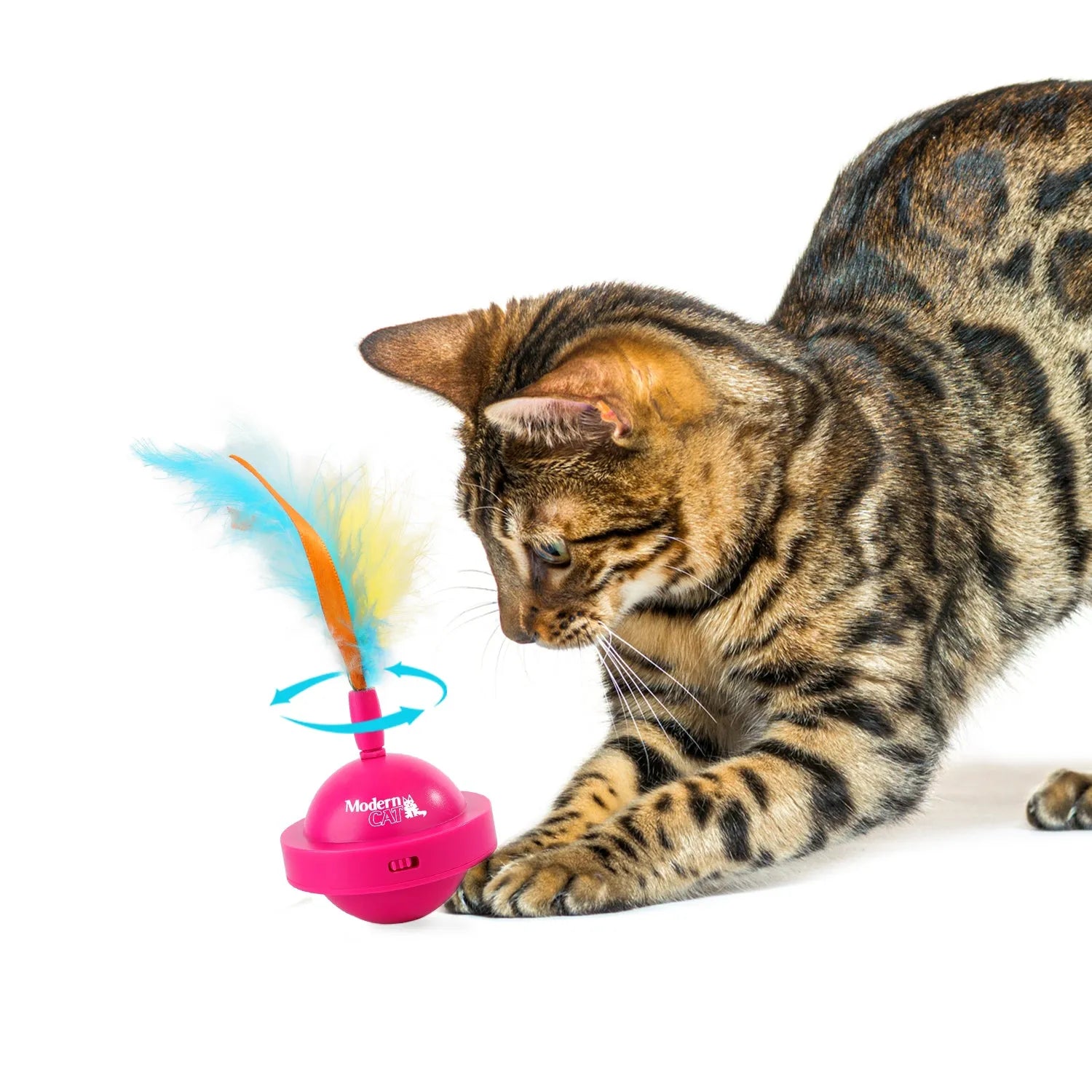 Modern spinning teaser toy for cats