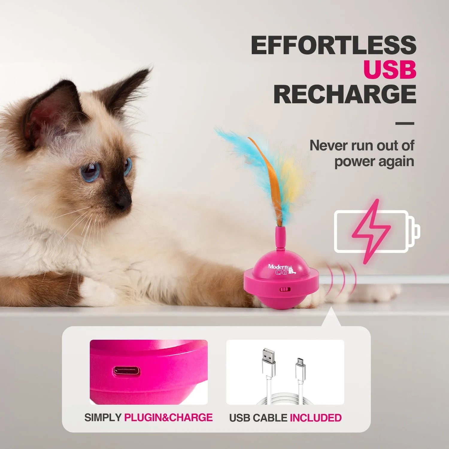 AFP (All For Paws)Modern Cat Spinning Teaser Toy